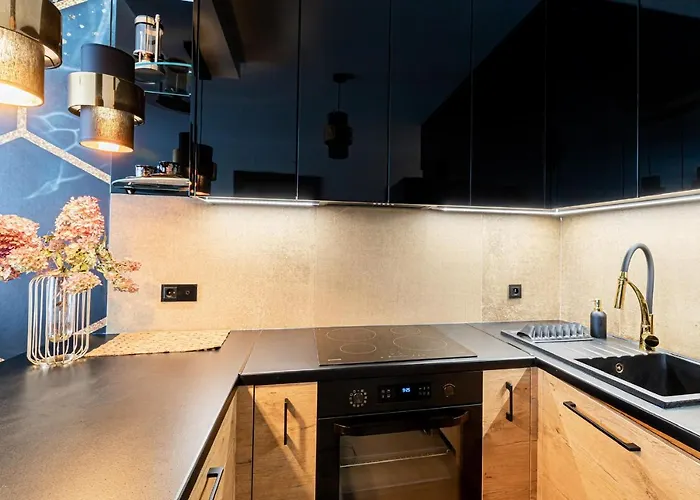 Promienisty Apartament فندق