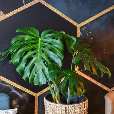 Hotel Promienisty Apartament