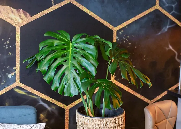 Hotel Promienisty Apartament